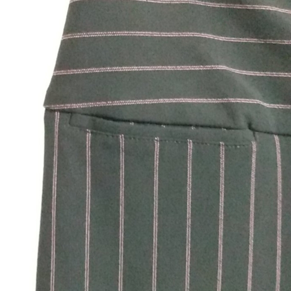 INC INTERNATIONAL CONCEPTS NWT BROWN & PINK STRIPE WIDE LEG PANTS SIZE 4 - Picture 4 of 12